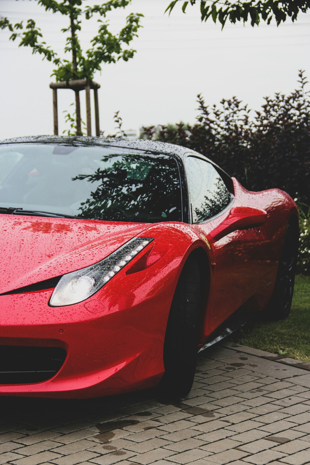 A sleek red sports car, fresh with raindrops, sits gracefully on a cobblestone driveway. Against the lush green foliage and a small tree backdrop, it’s clear that choosing the right exotic auto transport company ensures its pristine arrival in such picturesque settings.