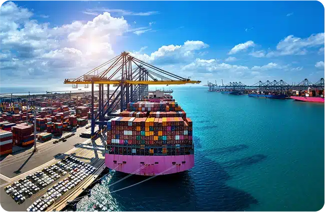 Best International Transport